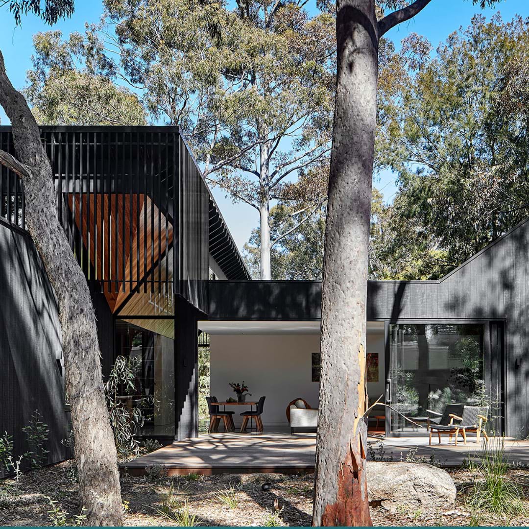 Bellbird House Bower Architecture & Interiors